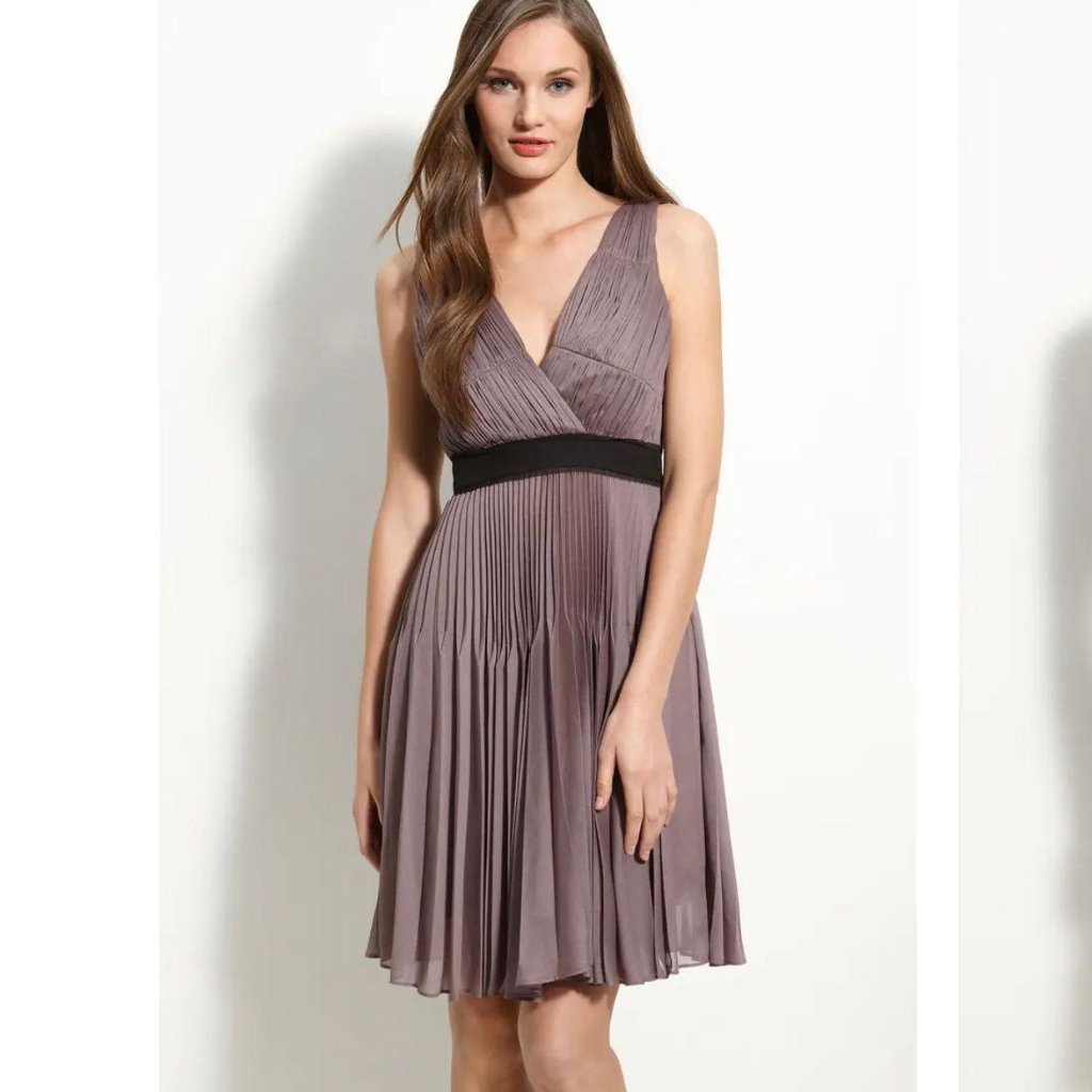 Nwt Max And Cleo Myna Pleated Dress Size 6